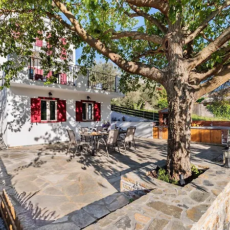 Anemi Skopelos 스타피로스